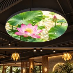 Minh họa hộp đèn mặt nguyệt hoa sen trên trần
